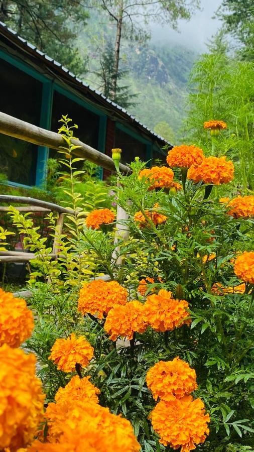 Himtrek Riverside Camps, 카솔 외부 사진